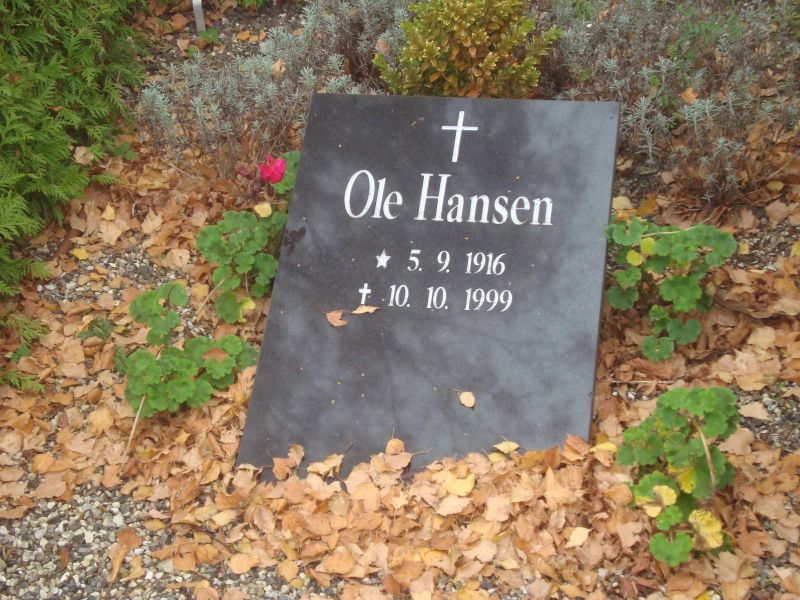 Ole Hansen.JPG